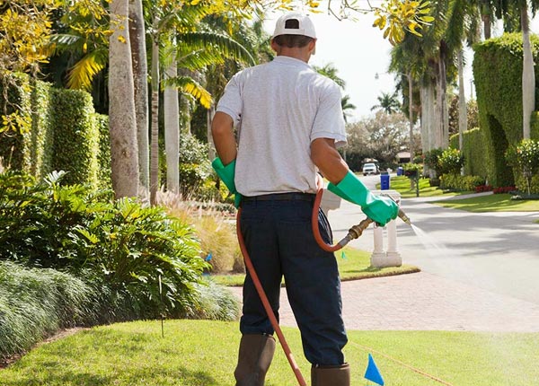 About Salt Rock WV Pest Control